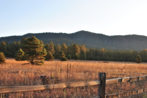 flagstaff arizona usa