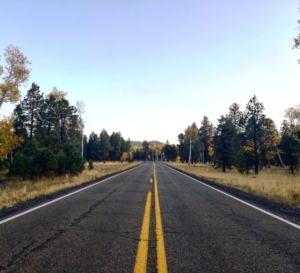 Flagstaff Viaggio usa autunno ottobre