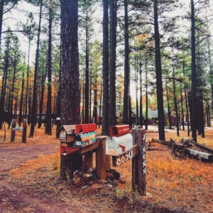 Flagstaff Arizona california viaggio
