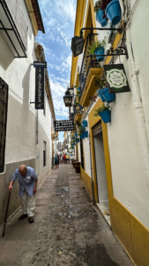 Cordoba strade fiori
